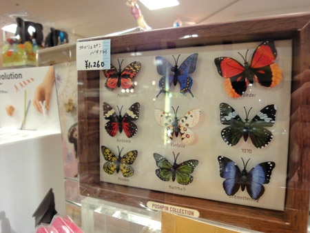 紙で作られた蝶の標本