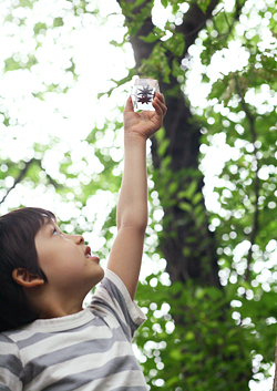 子供が自然に興味を持つキッカケ